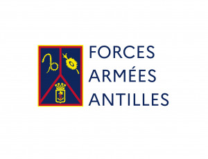Logo FAA détaillé V2